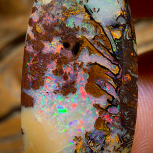 🔨 AUKTION 🔨 Ohne Mindestpreis 27,8cts – Tribal Queensland Boulder Opal. Rot, mehrfarbig