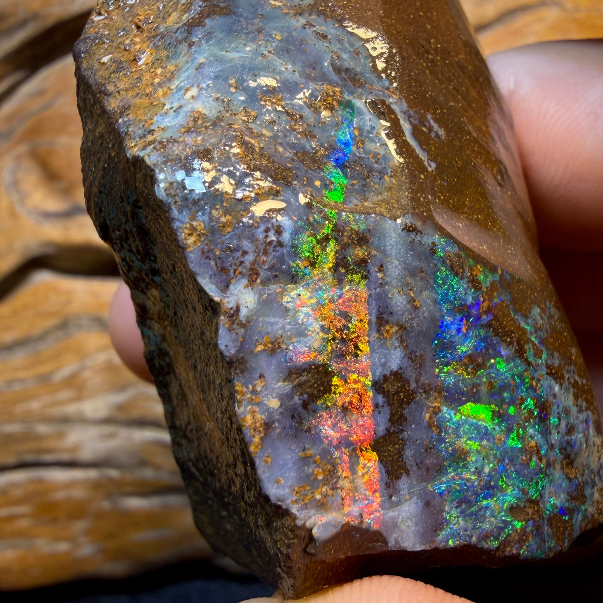 Dad Wonder card! 599cts - Queensland Boulder Seam Opal Rough Piece. Natural Split