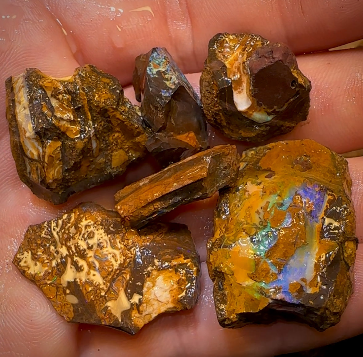202.3cts - 6x Queensland Boulder Rough Opal Parcel. Yowah Nut &gt;$1/ct
