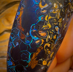 246.5cts - Tribal Queensland Boulder Opal. Polished Specimen