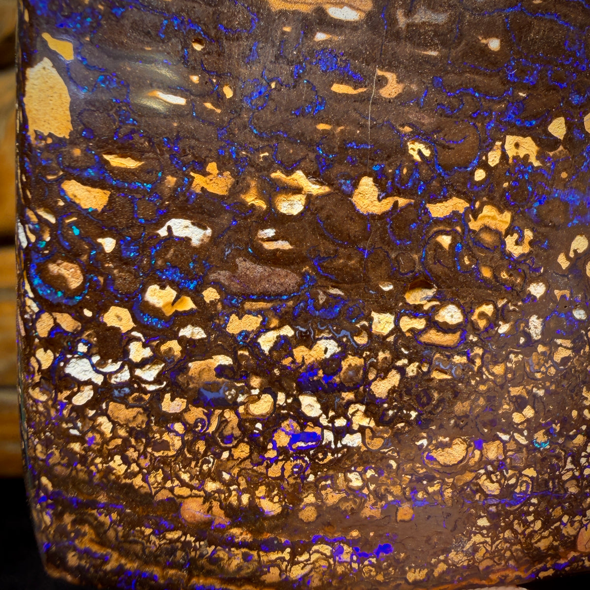 919.5cts - Large Tribal Australian Boulder Opal Polished Specimen