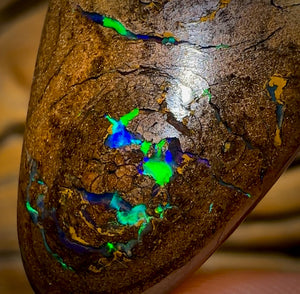 50.6cts - Queensland Boulder Opal from Yowah