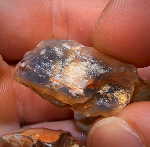 78.6cts - 6x Opalised Fossil Geological Specimens from Lightning Ridge