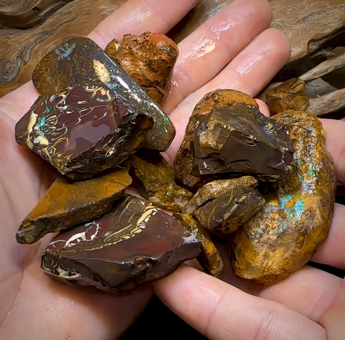 317.9g - 15x Yowah Nut Rough Pieces. Tribal and Crystal Centres Australian Opal - Opal Whisperers