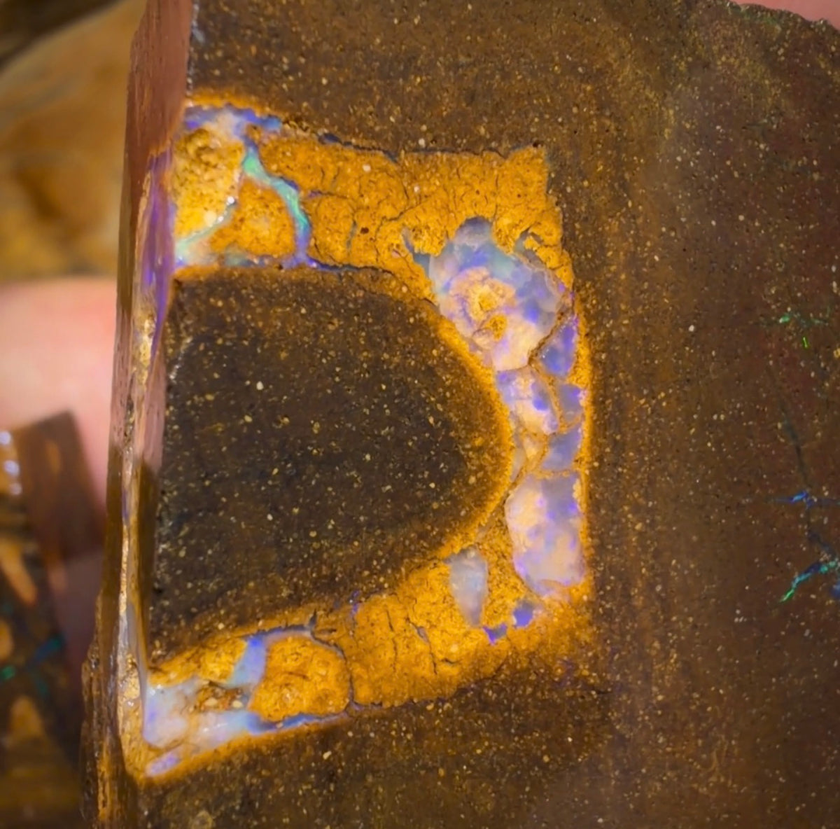 🔒Dealers Wildcard 507.7cts - 2x Australian Boulder Seam Opal Rough Pieces