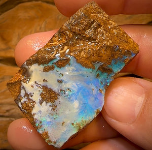 178cts - Queensland Boulder Seam Opal Rough Piece