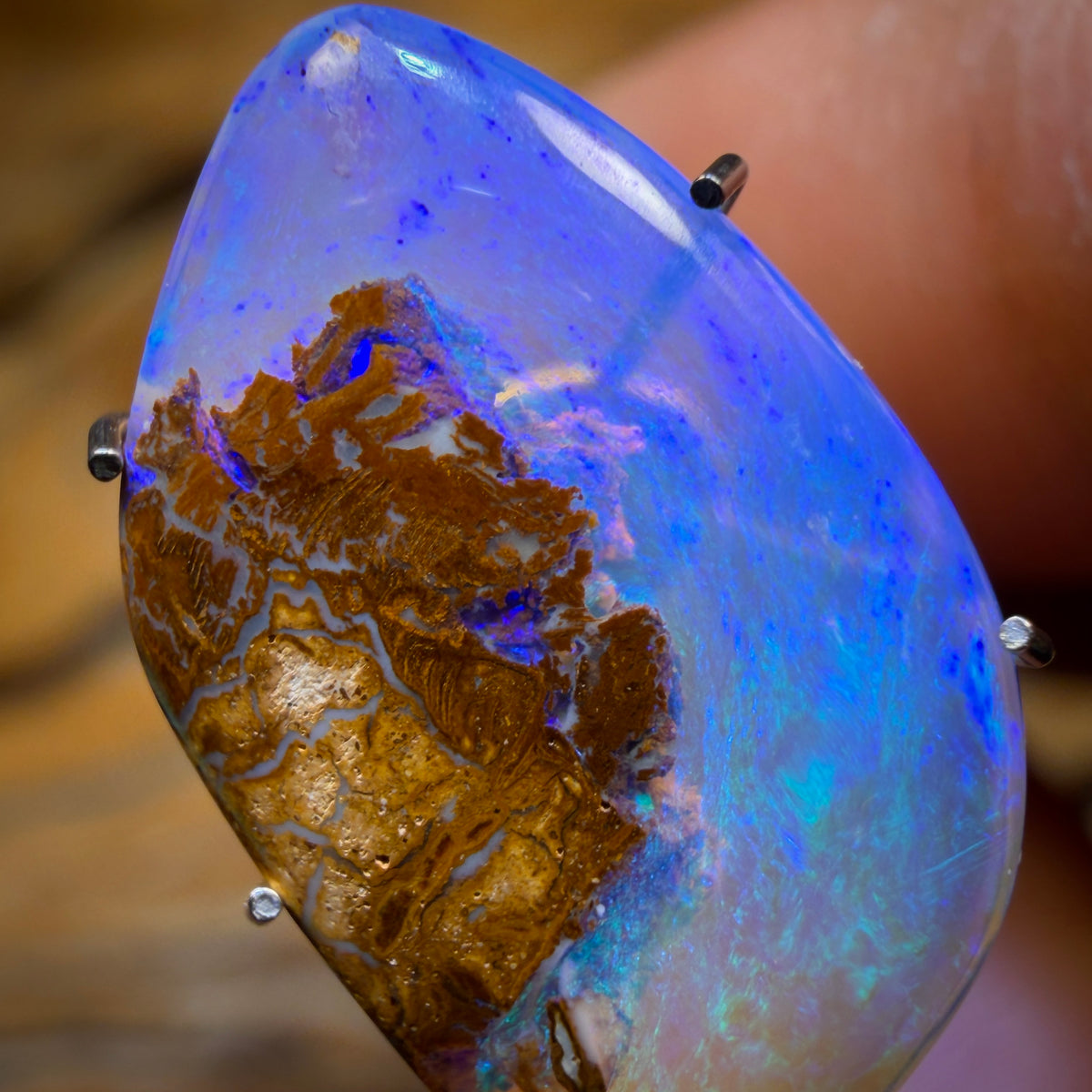🔨 AUCTION 🔨 Reserve 💎 High Roller Banger Auction 💎 3.8cts - Yowah Nut Crystal Centre Opal. Australian Boulder Opal