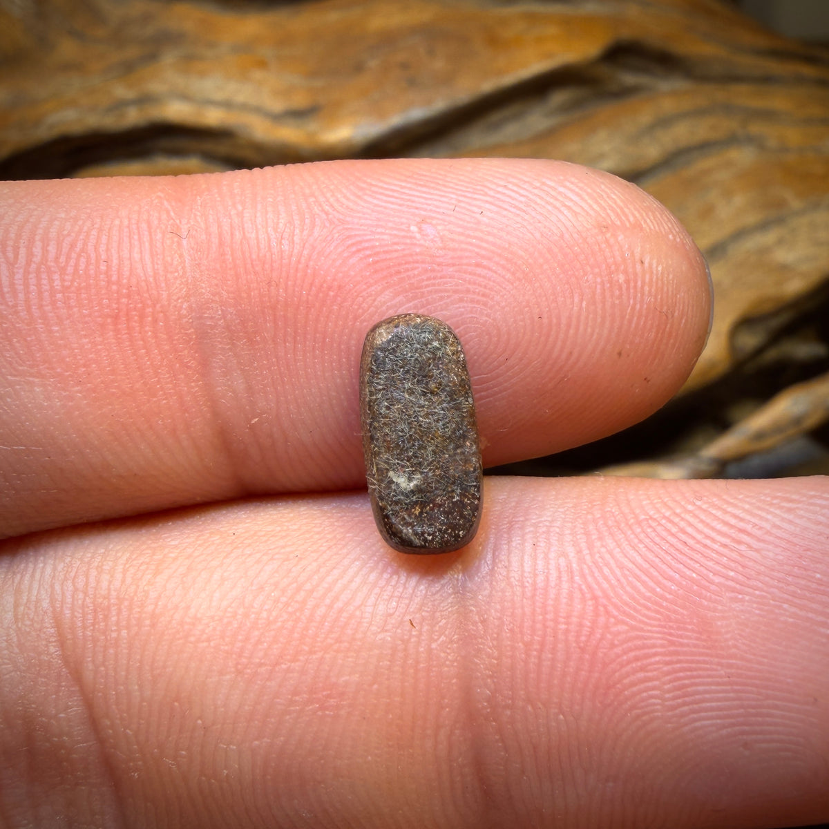 🔨 AUCTION 🔨 Reserve 💎 High Roller Banger Auction 💎 1.6cts - Kaleidoscope Australian Boulder Opal Doublet