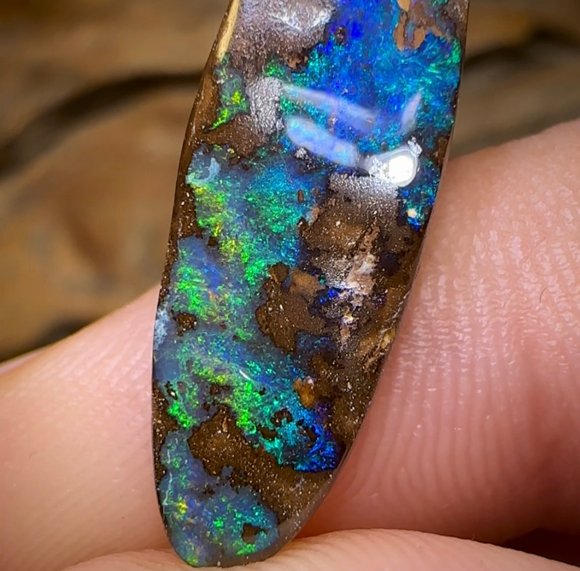 9.2cts - “Malibu” Koroit Nut Australian Boulder Opal - Opal Whisperers