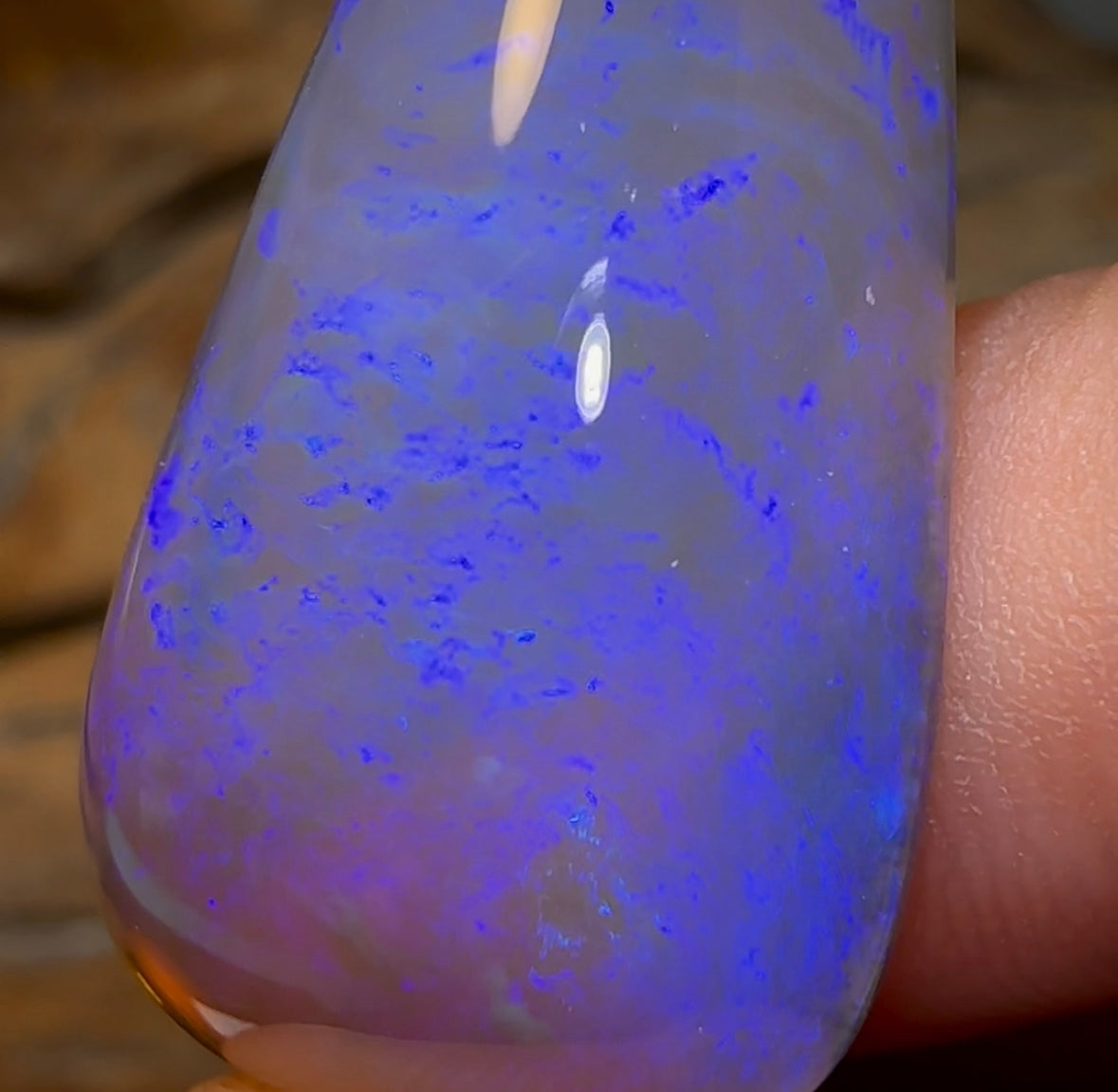 51.3cts - BIG Lightning Ridge Crystal Opal - Opal Whisperers
