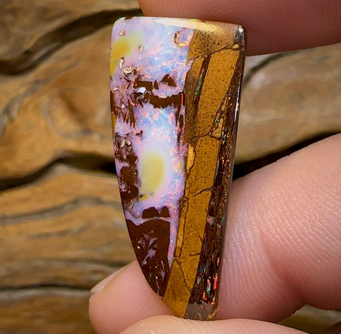 15.4cts - Australian Boulder Wood Fossil Replacement Opal - Opal Whisperers