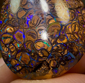 33.7cts - Yowah Nut Opal. Tribal Pattern