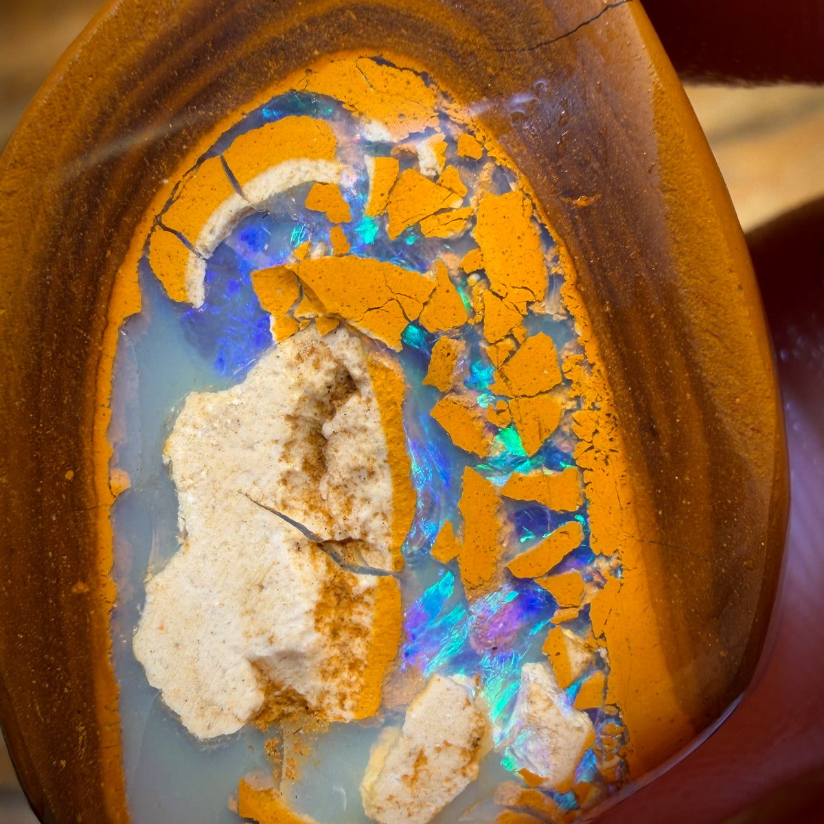 67,6cts - TOP Yowah Nut Kernel Opal Rub Doppelseitig! Präsentiert in 'OUTBACK OPAL HUNTERS'!!