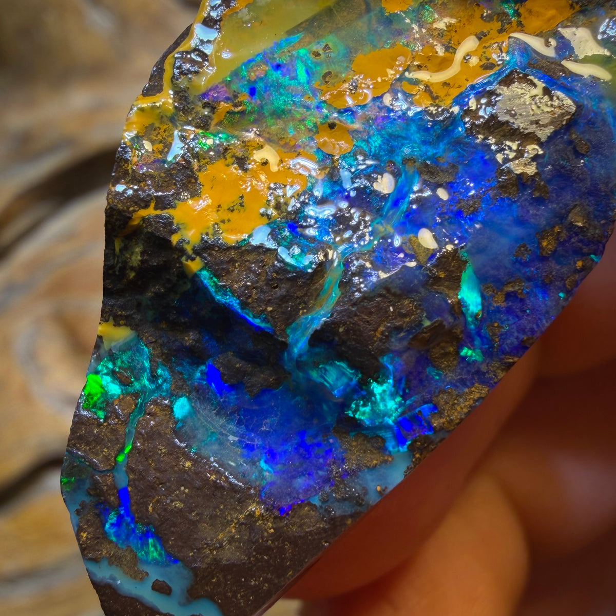 Dad Card! 293cts - Top Queensland Boulder Seam Opal Rough Pair. Natural Split