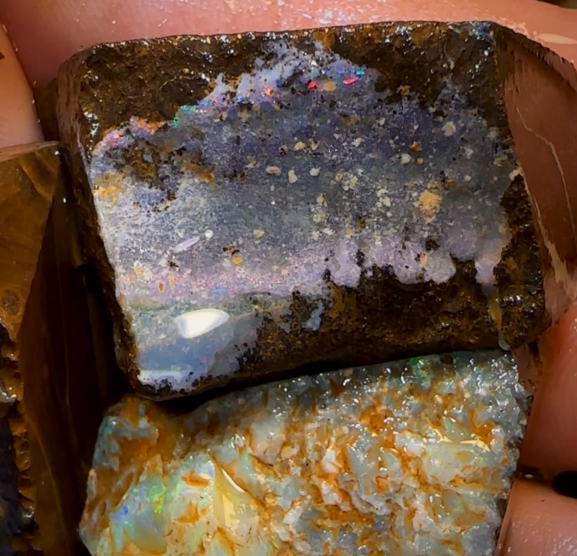 427.5cts - 3x Queensland Boulder Opal Rough Parcel from Winton