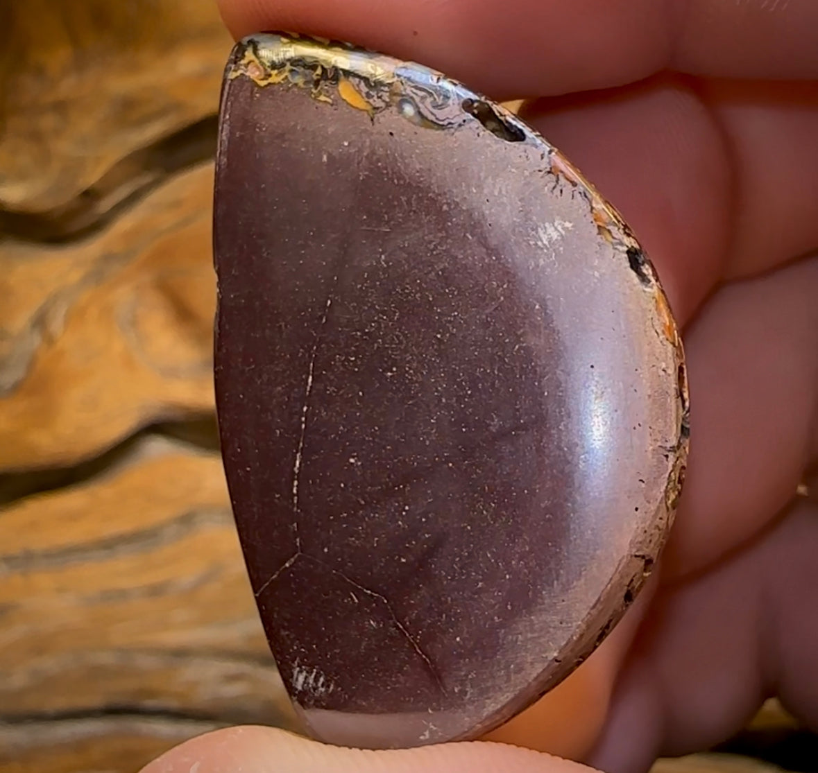 111.2cts - Tribal Koroit Nut Opal. Australian Boulder Opal - Opal Whisperers