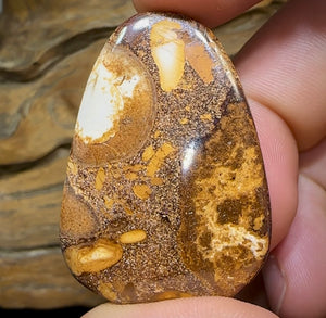 81.7cts - Yowah Nut. Australian Boulder Opal. White/Porcelain Tribal - Opal Whisperers