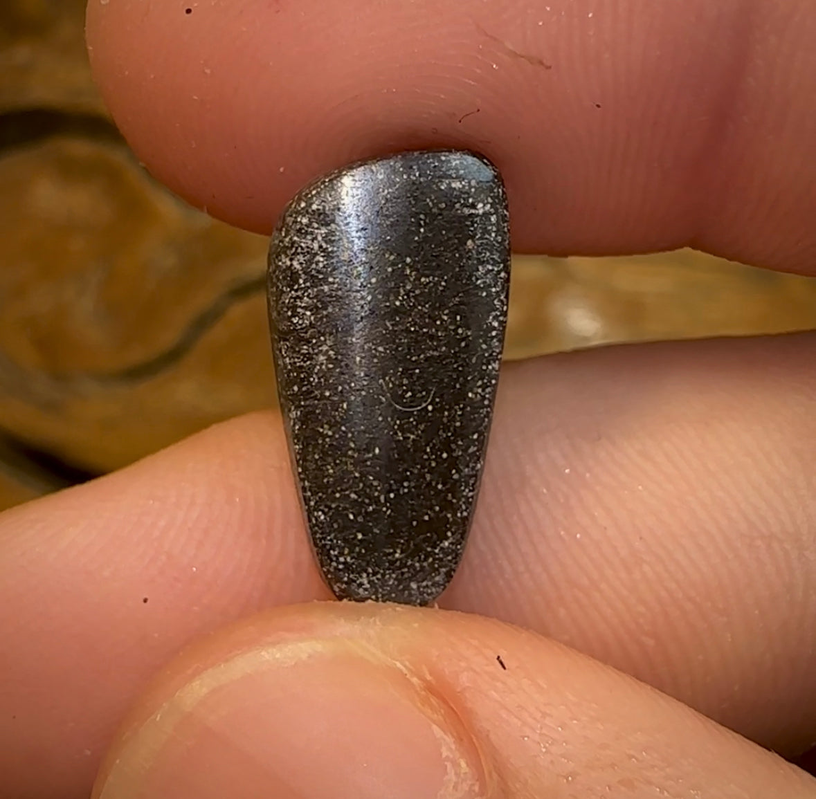 6.4cts - Solid Natural Boulder Opal from Quilpy - Opalwhisperers