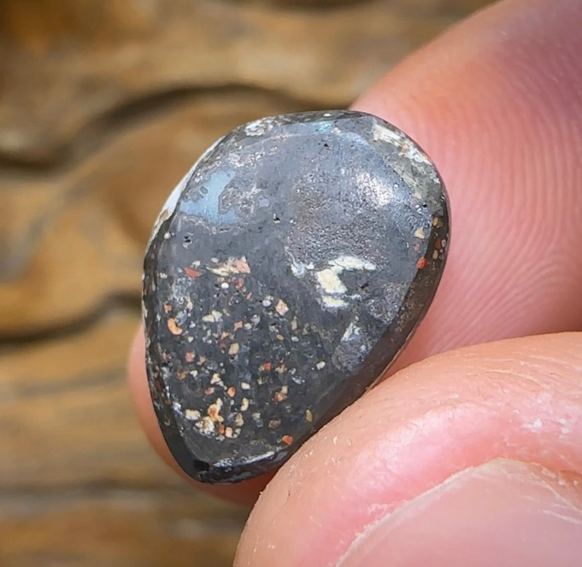 5.7cts - Solid Queensland Boulder Australian Opal - Opal Whisperers