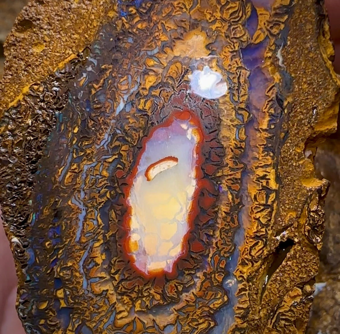 495.1cts - Yowah Nut Rough Specimen Pair. Australian Boulder Opal - Opal Whisperers