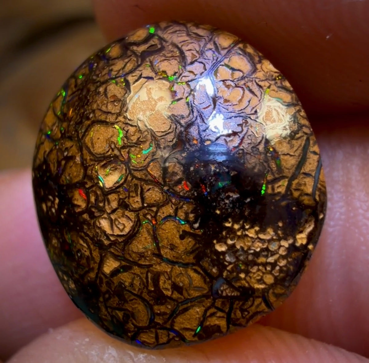 8.4cts - Tan Tribal Yowah Nut Opal. Red Multicolours!