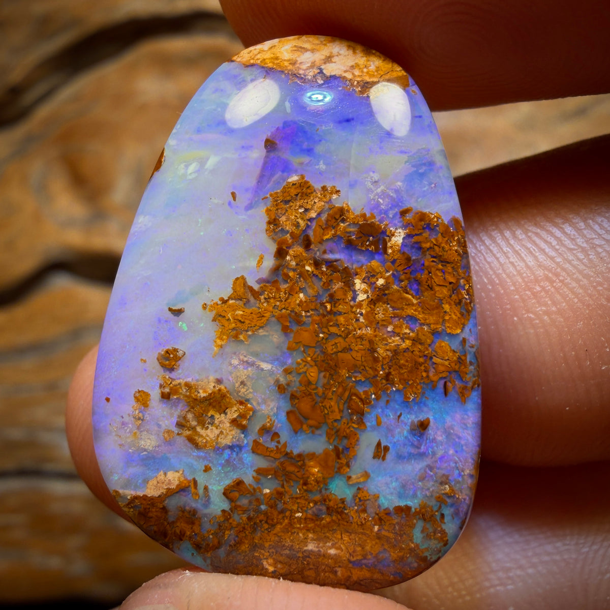 34.1cts - Wood Fossil Replacement Boulder Opal from Yowah