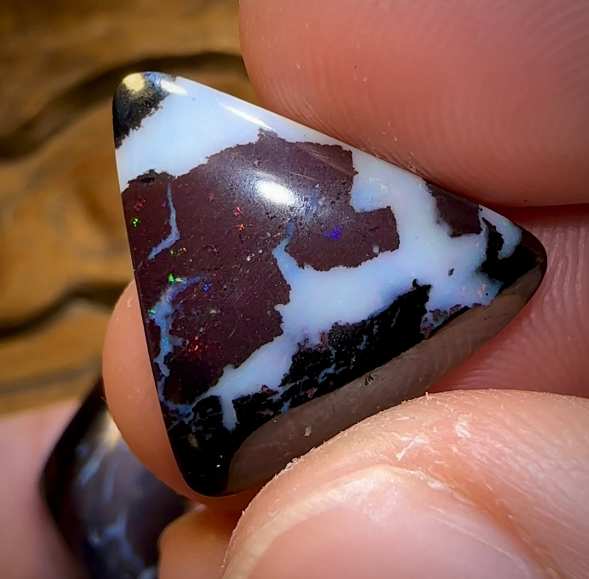 46.7cts - 5x Tribal Koroit Nut Opals BLACK IRONSTONE. Australian Opal Parcel - Opal Whisperers