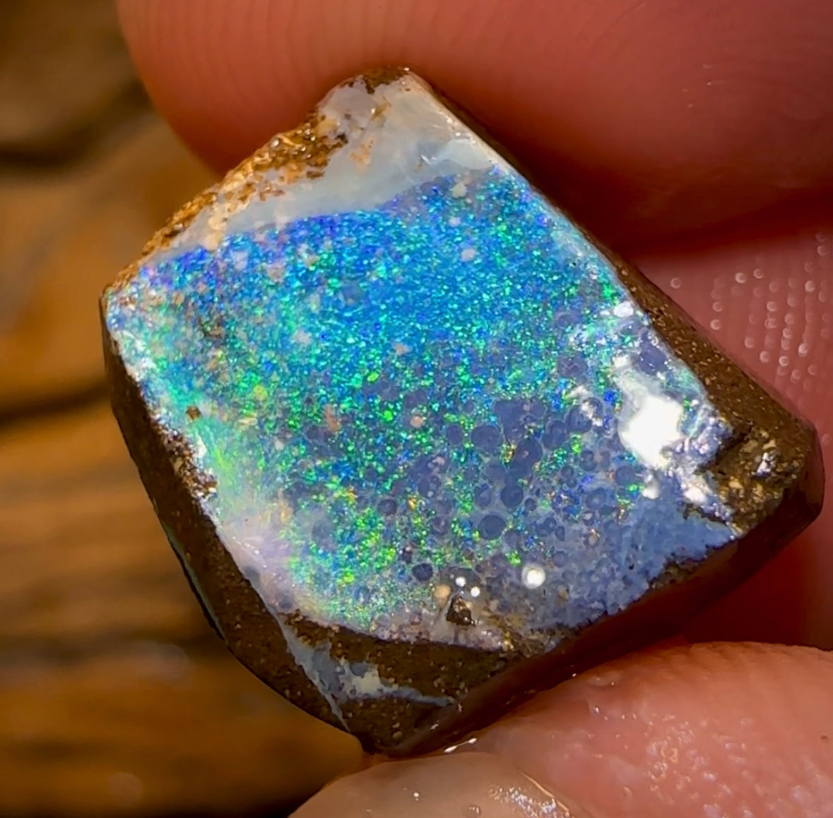 16.3cts - Australian Boulder Opal Rough Preform. Natural Split - Opal Whisperers