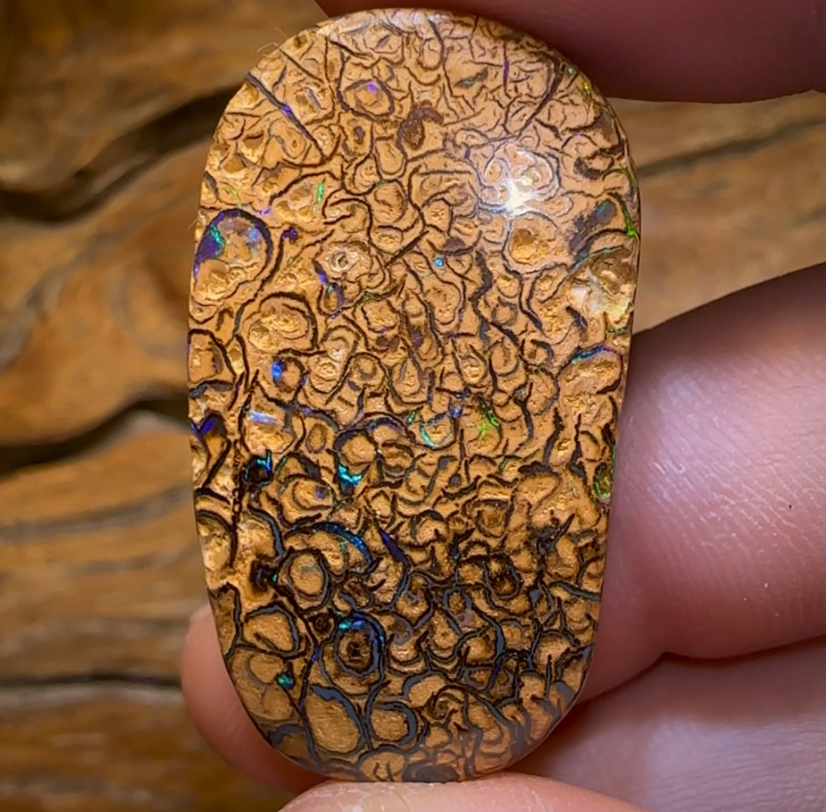 52.3cts - Yowah Nut Tan Tribal Opal. Double Sided - Opal Whisperers