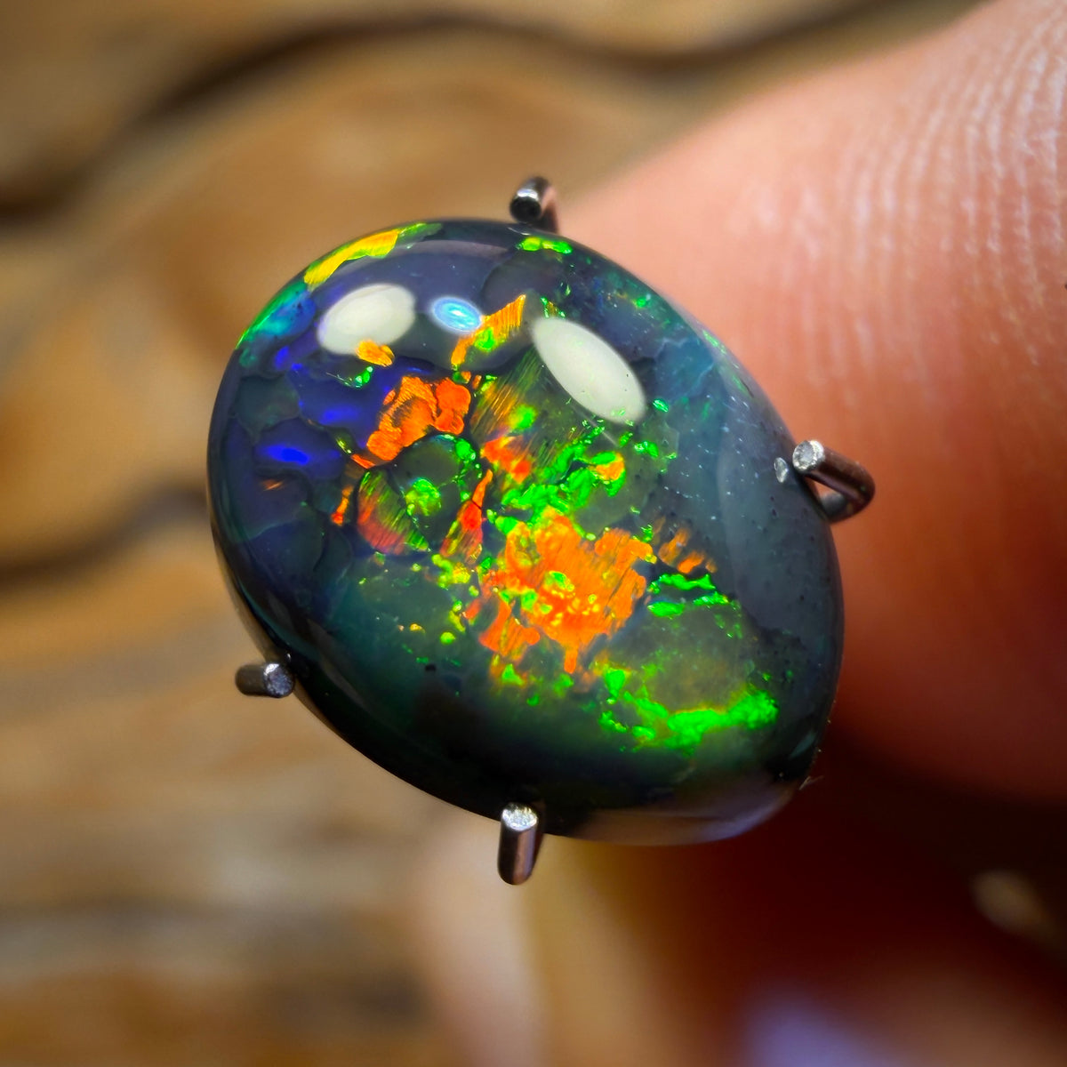 “Set in Stone” - Private Collector Investment - 2.3cts Gem Lightning Ridge Black Opal