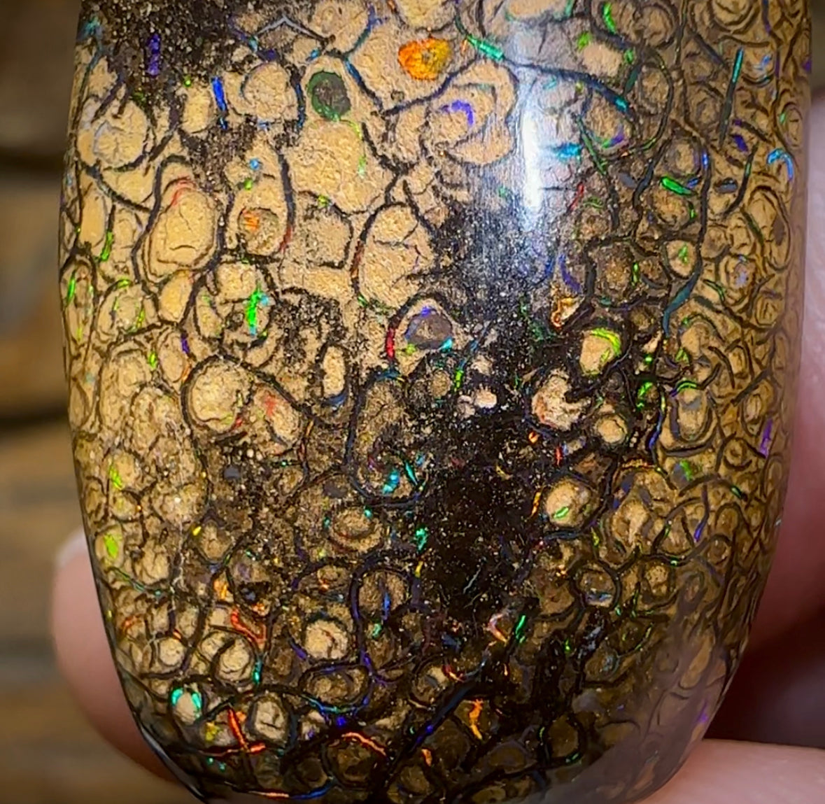 52.2cts - Yowah Nut Tribal. Australian Boulder Opal - Opal Whisperers