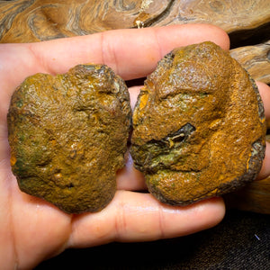 428cts - RARE Yowah Nut Crystal Centre Rough Specimen Pair