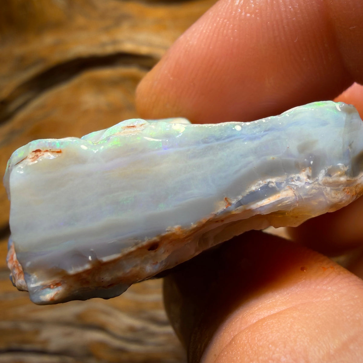 186.1cts - Large Lightning Ridge Dark Opal Rough Piece