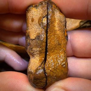 310.5cts - Yowah Nut Partial Crystal Centre Rough Specimen Pair