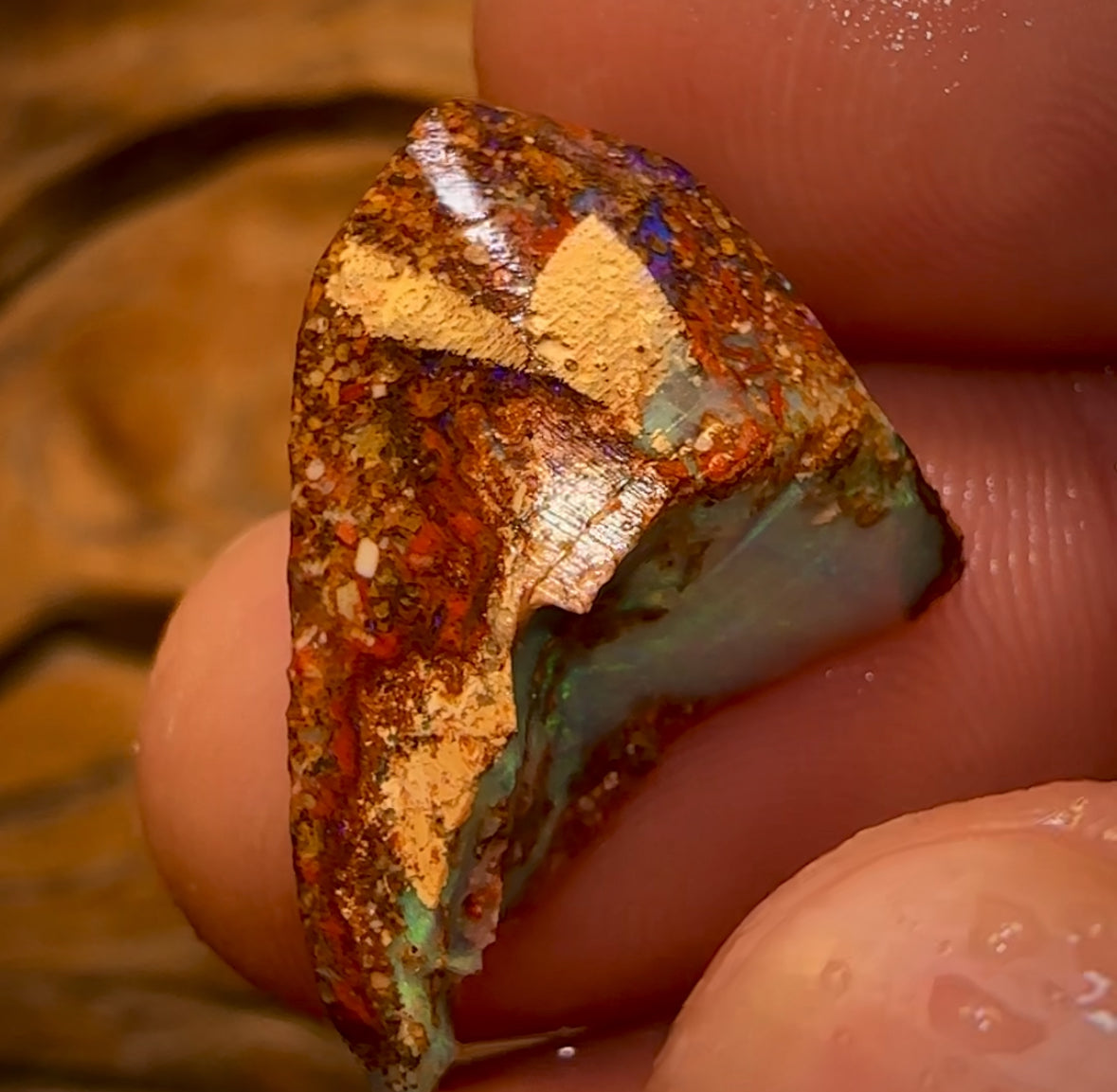 10.3cts - Queensland Boulder Pipe Opal Rough Piece