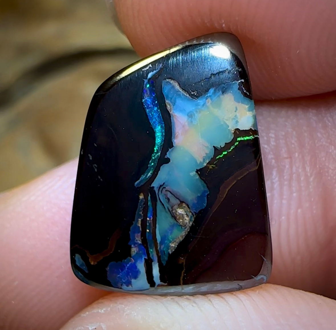 7.4cts - Koroit Crystal Center Nut Boulder Opal, Black Chocolate Ironstone - Opal Whisperers