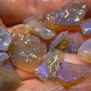 61.5cts - 15x Lightning Ridge Opal Rough Parcel. Inlay and Doublet Material