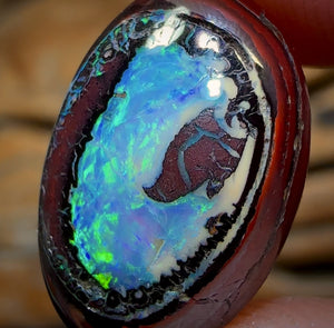 11.8cts - “Collectors Prize” Yowah Nut Kernel Opal. Australian Boulder Opal