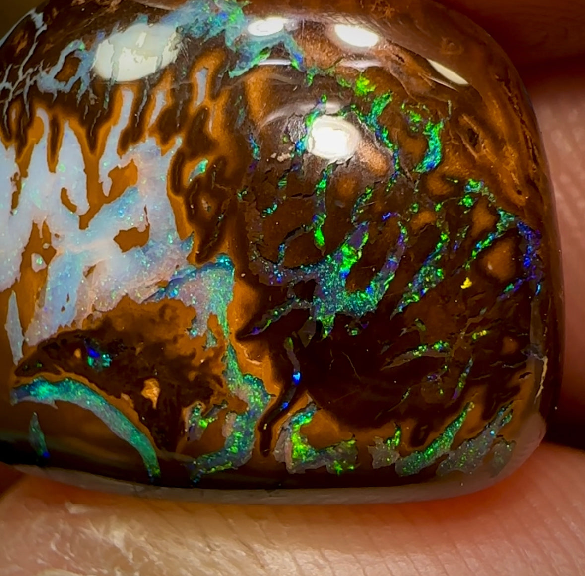 28.8cts - Australian Boulder Opal. Aquatic Pattern - Opal Whisperers