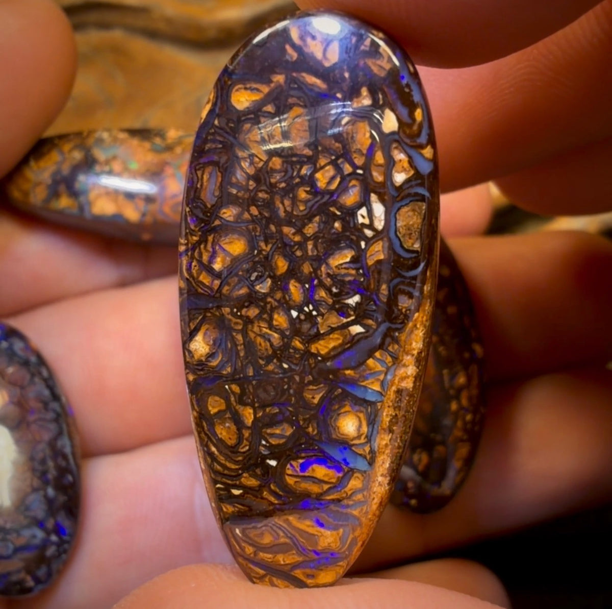 🔒 200.7cts - 5x Australian Tribal Boulder Opal’s. Wholesale Dealers Parcel