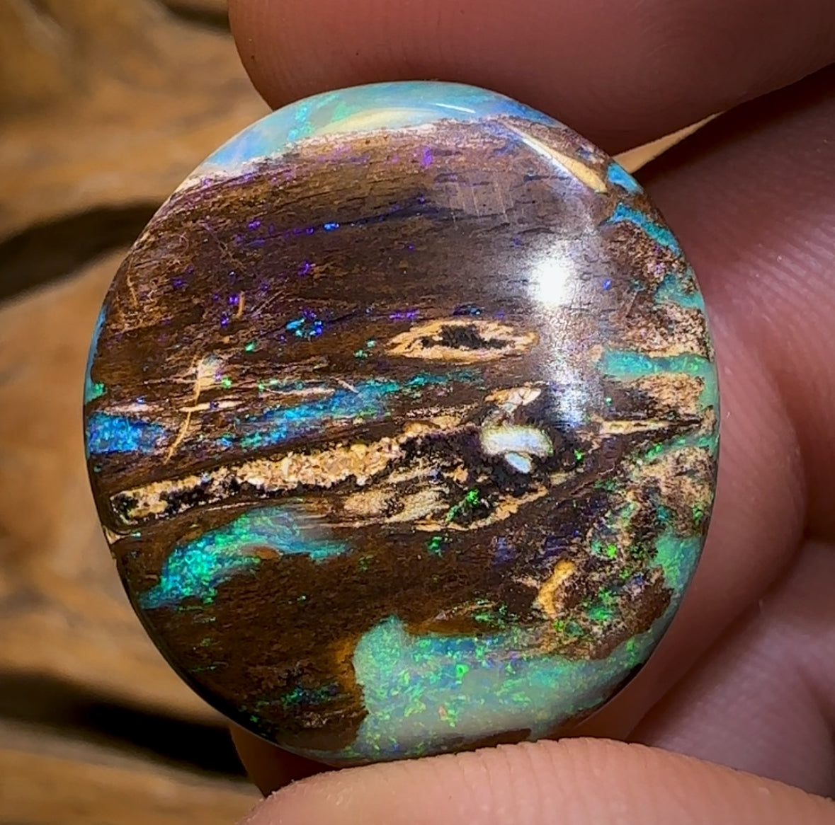31.4cts - Top Queensland Boulder Wood Fossil Opal. Featured on “Outback Opal Hunters”! Celebrity Stone