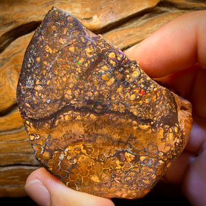 1033 Karat – Großer, polierter australischer Boulderopal im Stammesstil