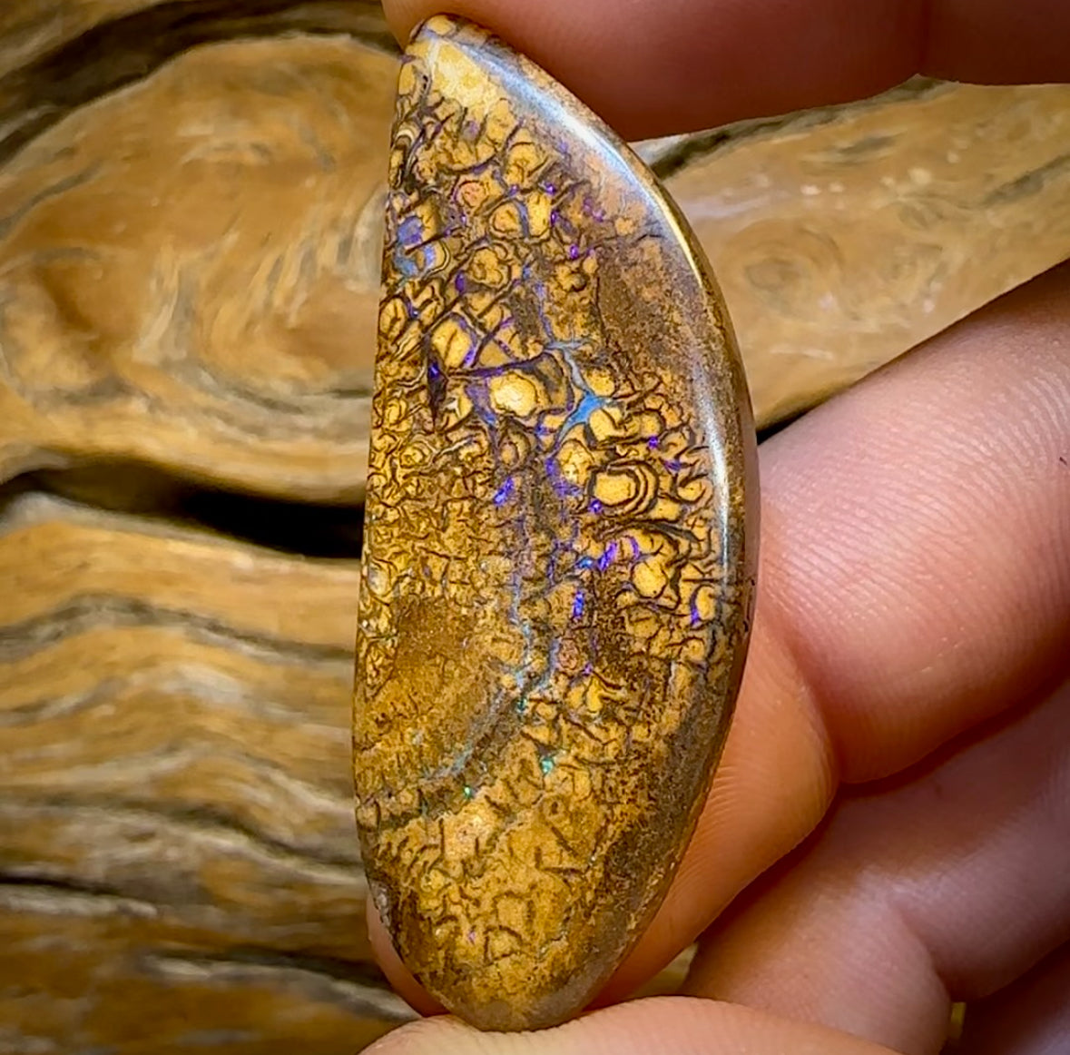 Auction Fall-Through = Your Gain! 🔥 Now More Than 50% Off RRP 🚨 48.4cts - Queensland Boulder Opal from Yowah