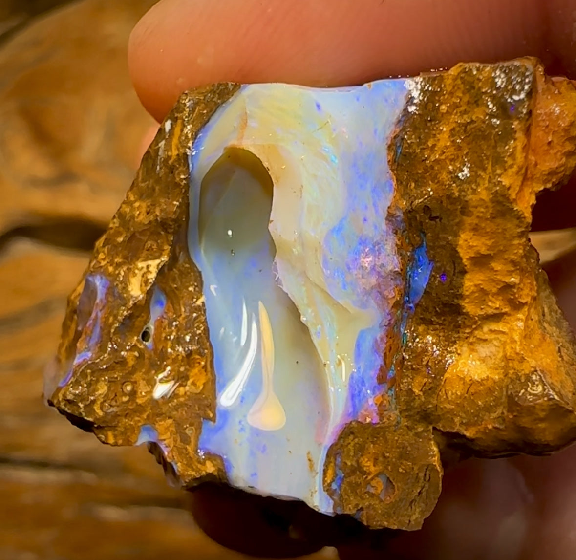 Queensland Boulder Opal Rough Piece - Main Image