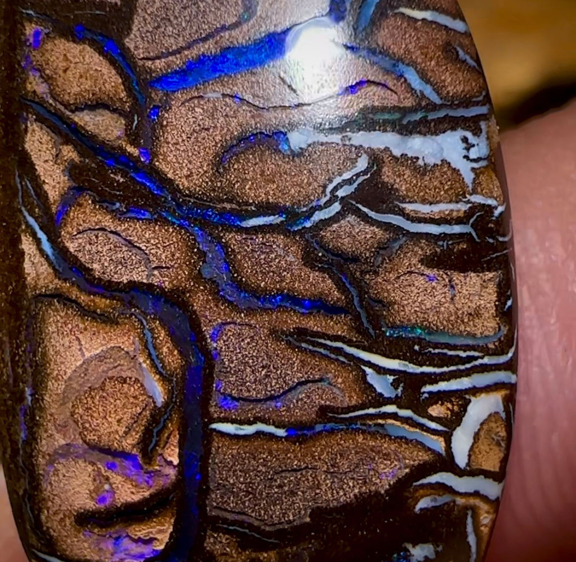 27.1cts - Top Tribal Queensland Boulder Opal from Koroit