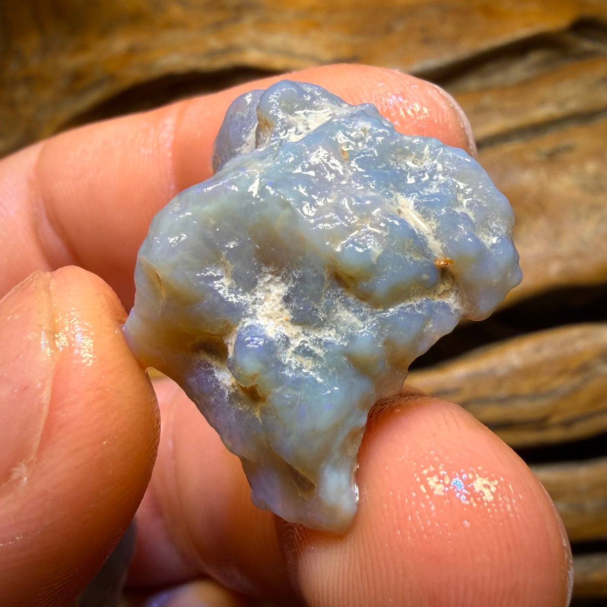 167.1cts - 5x Lightning Ridge Opal Rough Parcel