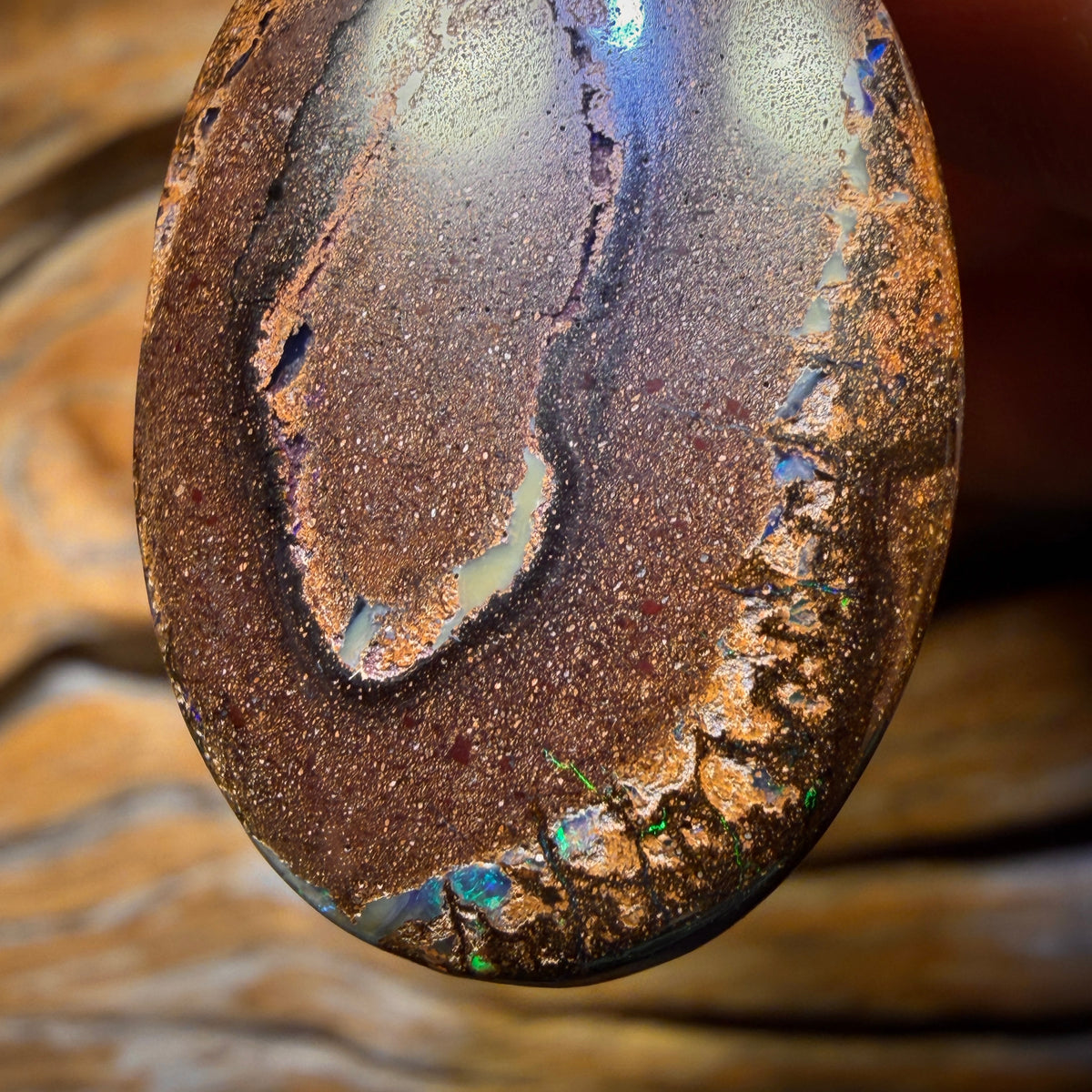 Roadshow Wildcard!            32 x 22mm - Drilled Tribal Queensland Boulder Opal Necklace