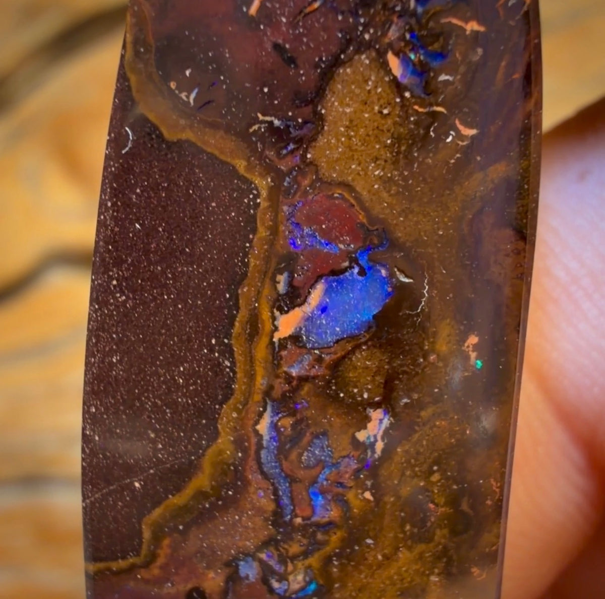 45.8cts - Queensland Boulder Opal from Koroit