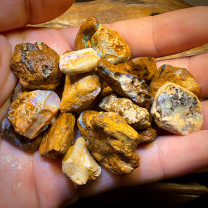 🔒307.5cts - 24x Opalised Wood/Vegetation Fossil Rough Parcel from Yowah