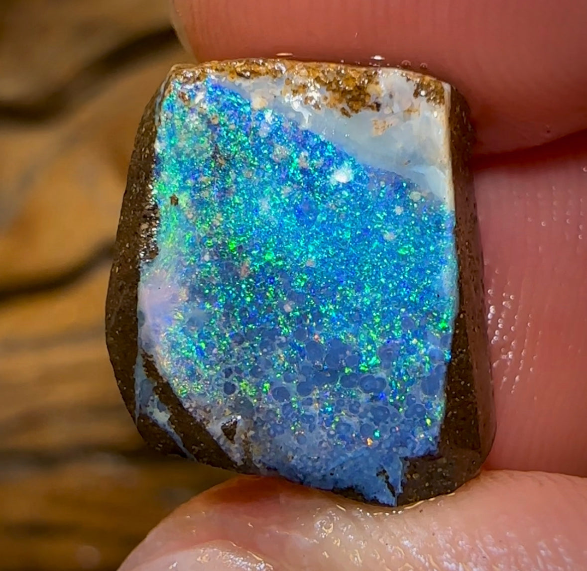 16.3cts - Australian Boulder Opal Rough Preform. Natural Split - Opal Whisperers